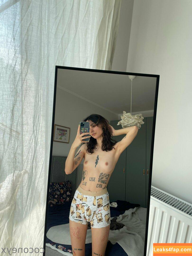 Coconeyx / Coconey / coconey3 / hinatakio leaked photo photo #0018