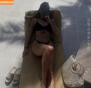 Coliendk photo #0011