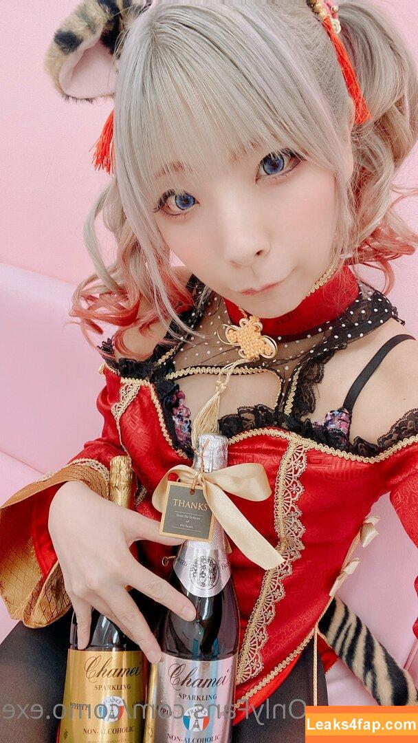 Como.exe / Comonun / hitori.exe leaked photo photo #0159