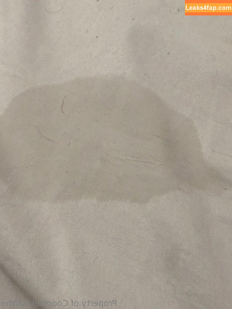 coochielouwho / emiliocoochie leaked photo photo #0118