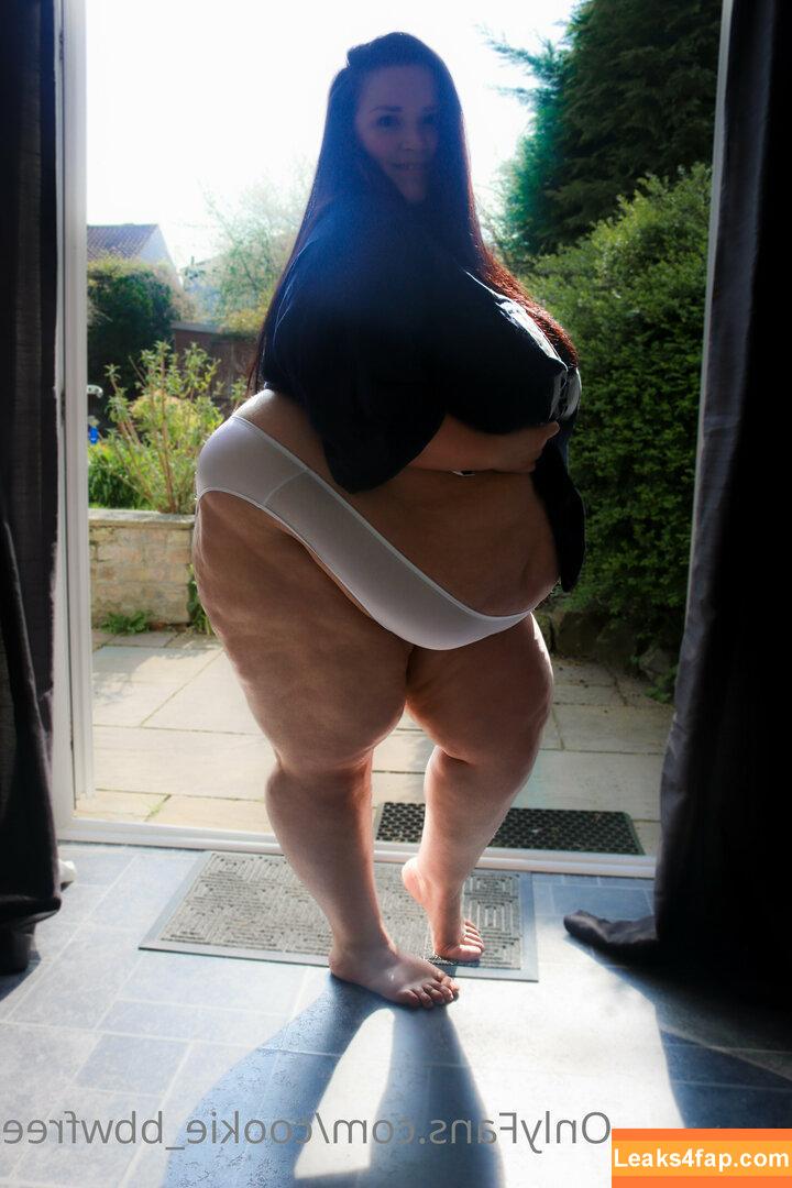 cookie_bbwfree / cookie_bbw7 leaked photo photo #0002