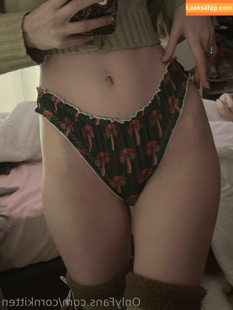 cornkitten / 7cornkitten7 leaked photo photo #0072