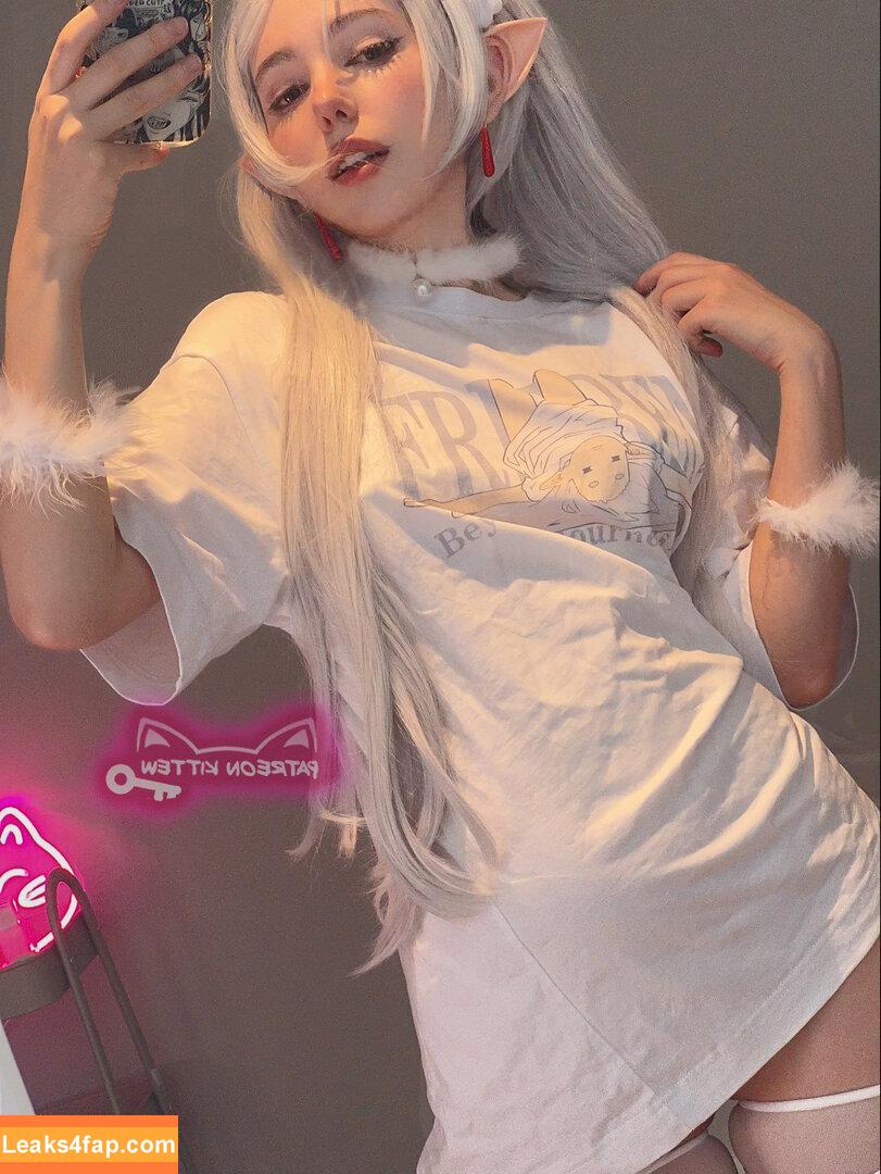 Cosplay From Frieren / reel leaked photo photo #0012