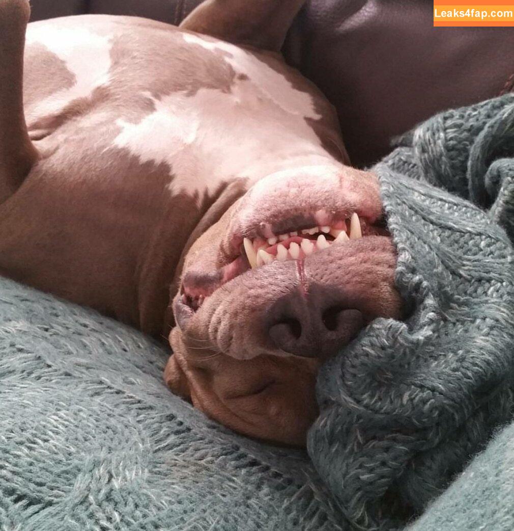 Courtney Hansen / courtney_hansen / courtneyhansen / https: leaked photo photo #0017