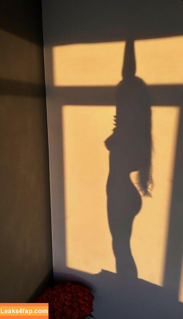 CoxiFoxy / darinytko / darkdary leaked photo photo #0204