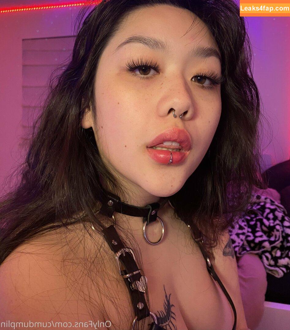 cumdumplin /  leaked photo photo #0053