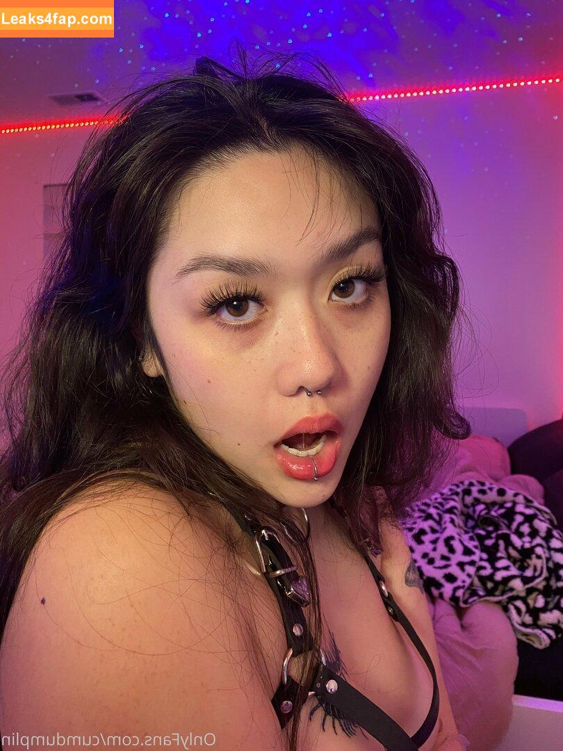 cumdumplin /  leaked photo photo #0054