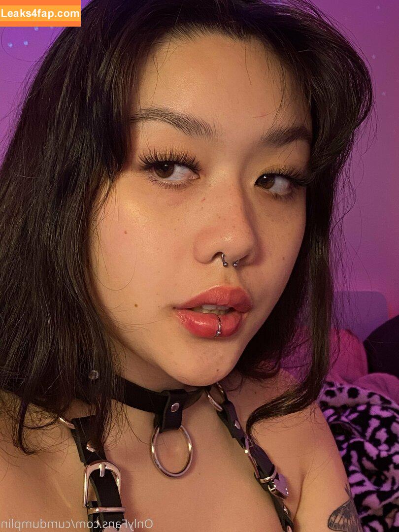 cumdumplin /  leaked photo photo #0055