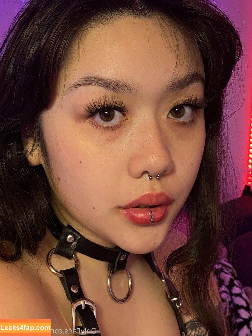 cumdumplin /  leaked photo photo #0057