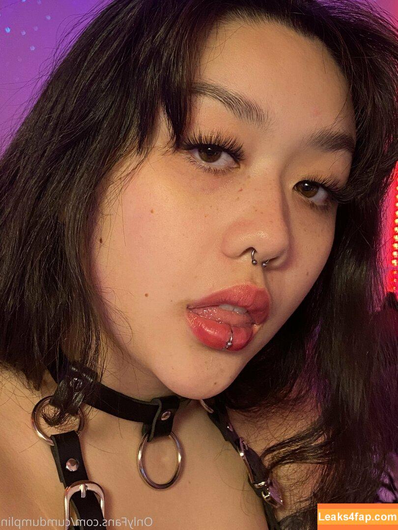 cumdumplin /  leaked photo photo #0058