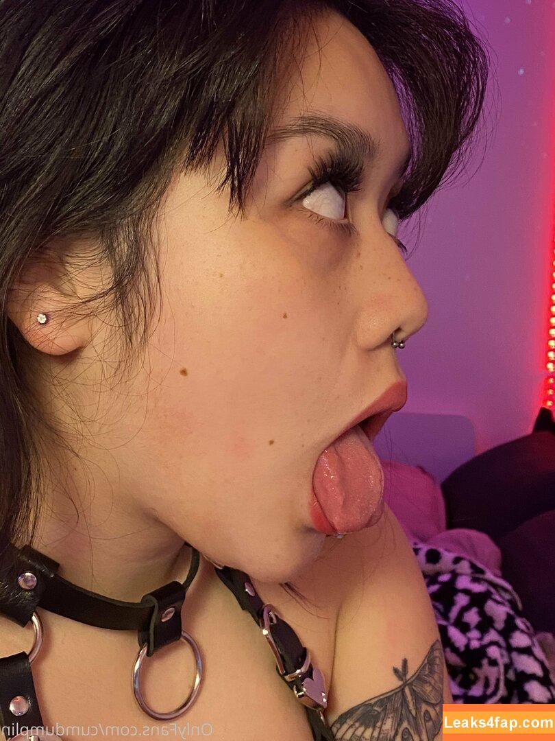 cumdumplin /  leaked photo photo #0064
