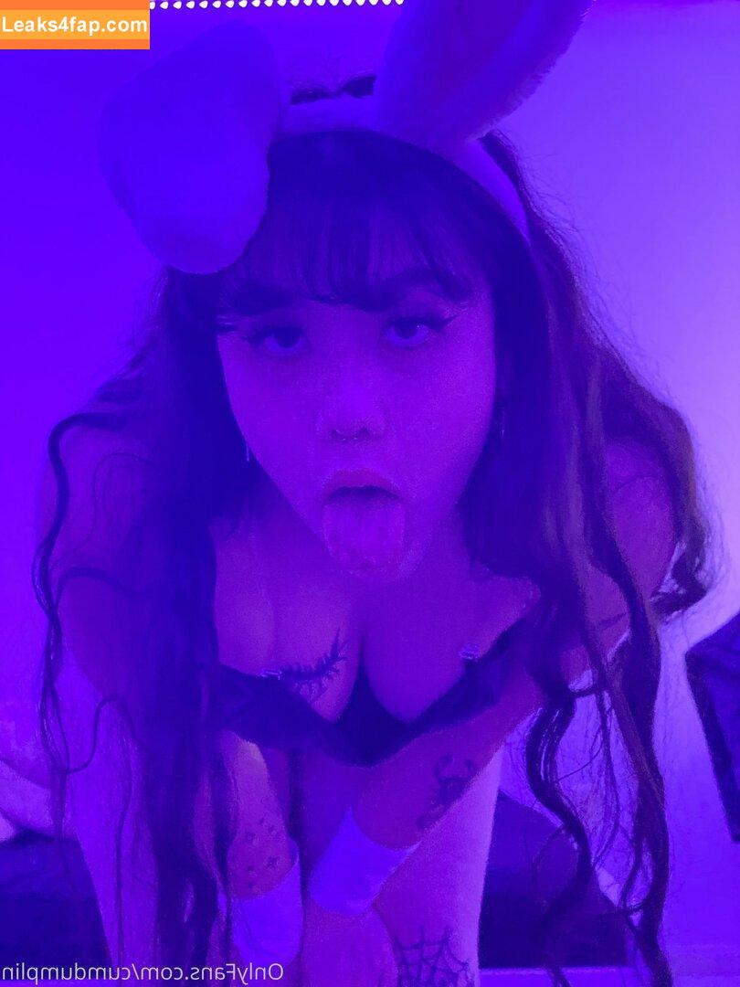 cumdumplin /  leaked photo photo #0163