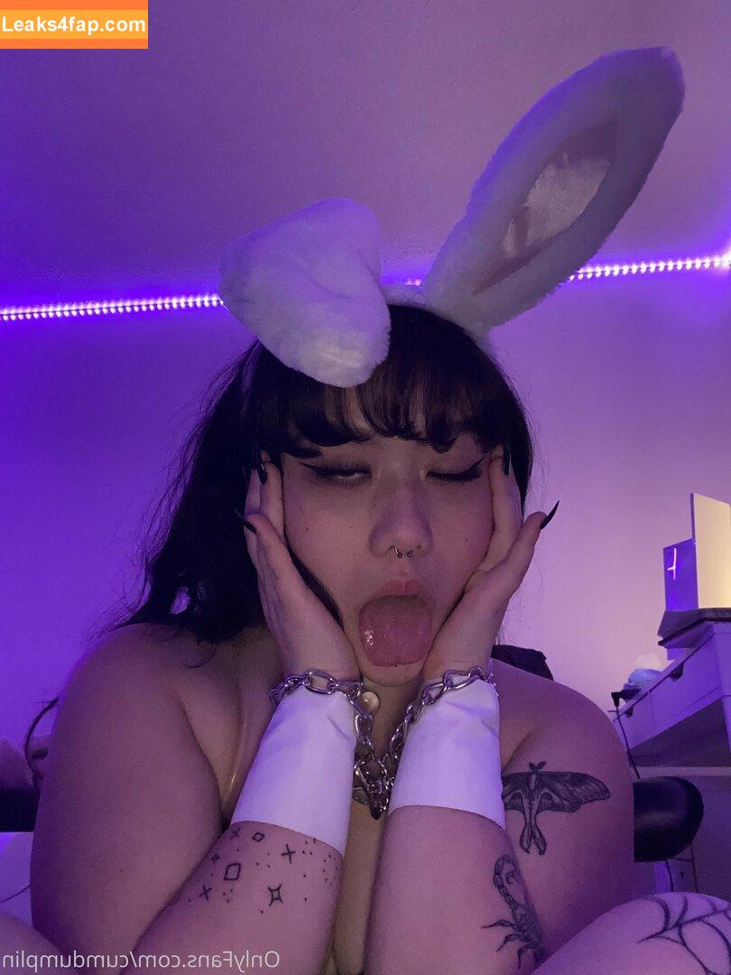 cumdumplin /  leaked photo photo #0167