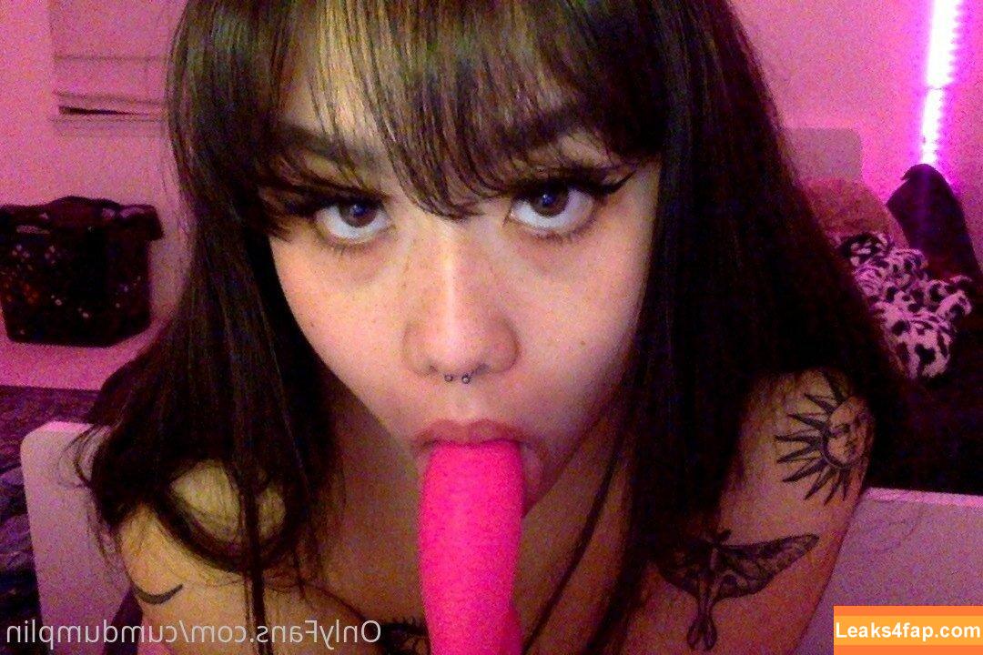 cumdumplin /  leaked photo photo #0225