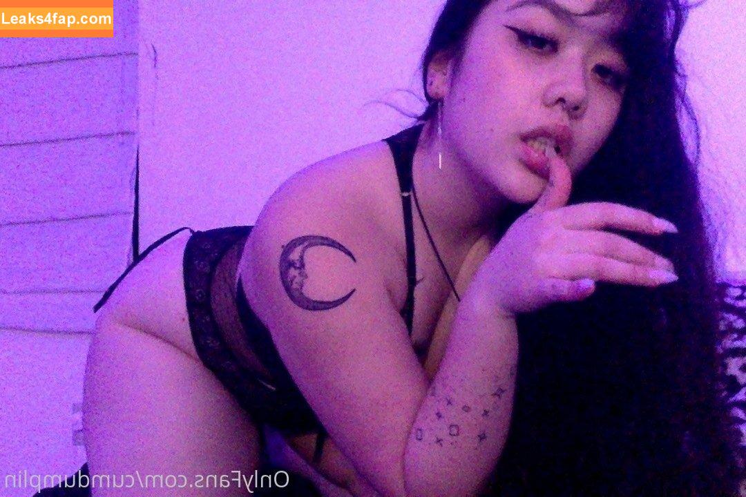 cumdumplin /  leaked photo photo #0235