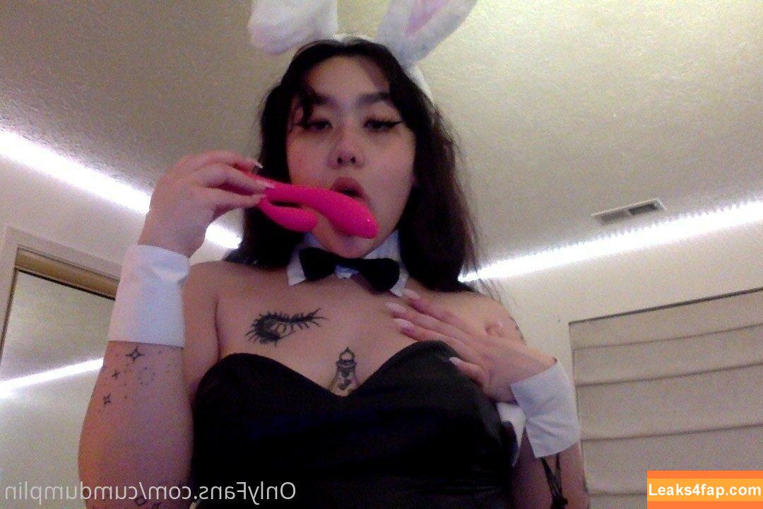cumdumplin /  leaked photo photo #0244