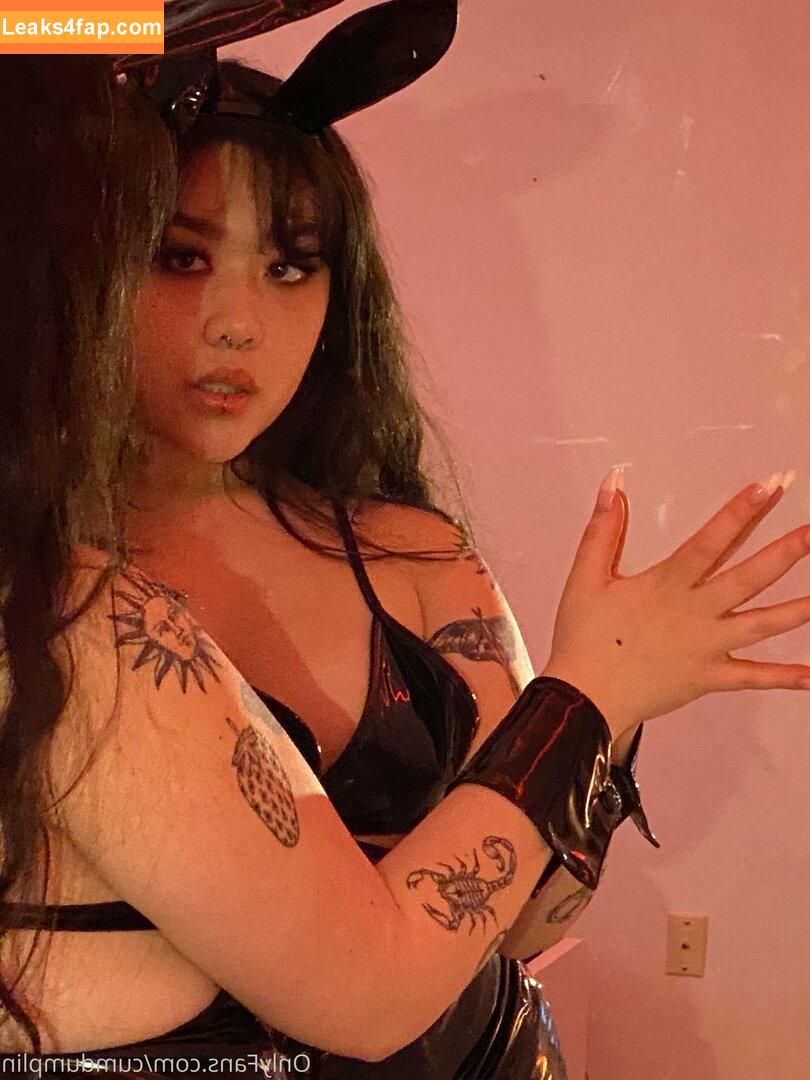 cumdumplin /  leaked photo photo #0255