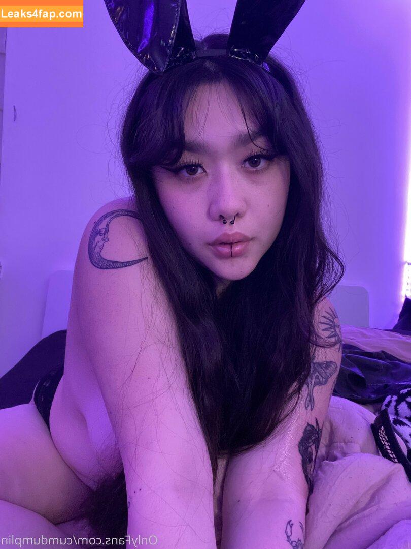 cumdumplin /  leaked photo photo #0315