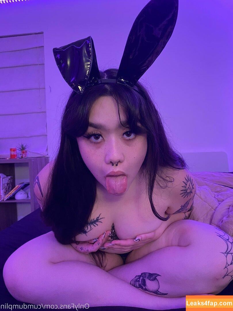 cumdumplin /  leaked photo photo #0316