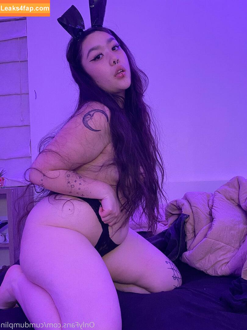 cumdumplin /  leaked photo photo #0328