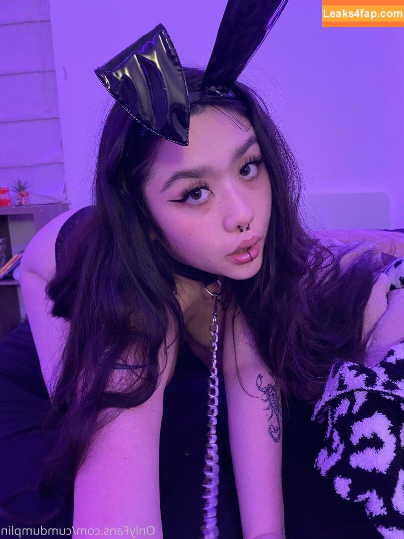 cumdumplin /  leaked photo photo #0337
