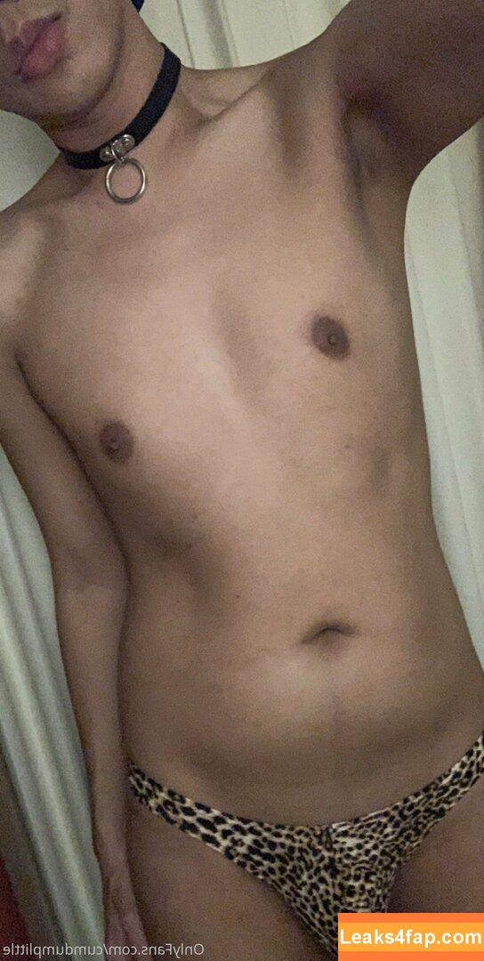 cumdumplittle /  leaked photo photo #0154