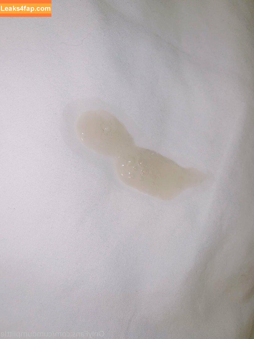 cumdumplittle /  leaked photo photo #0185