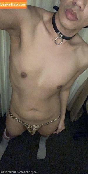cumdumplittle photo #0153