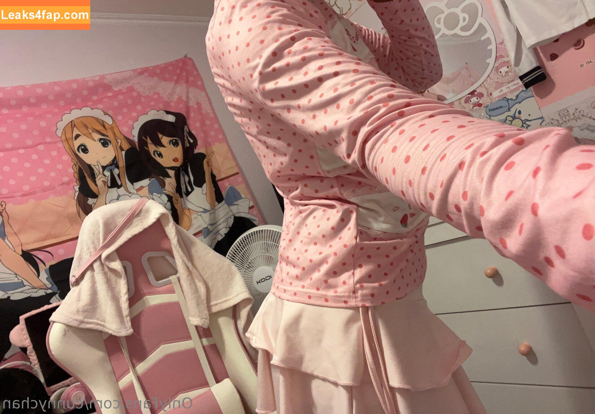 cunnychan / loliech4nn leaked photo photo #0013