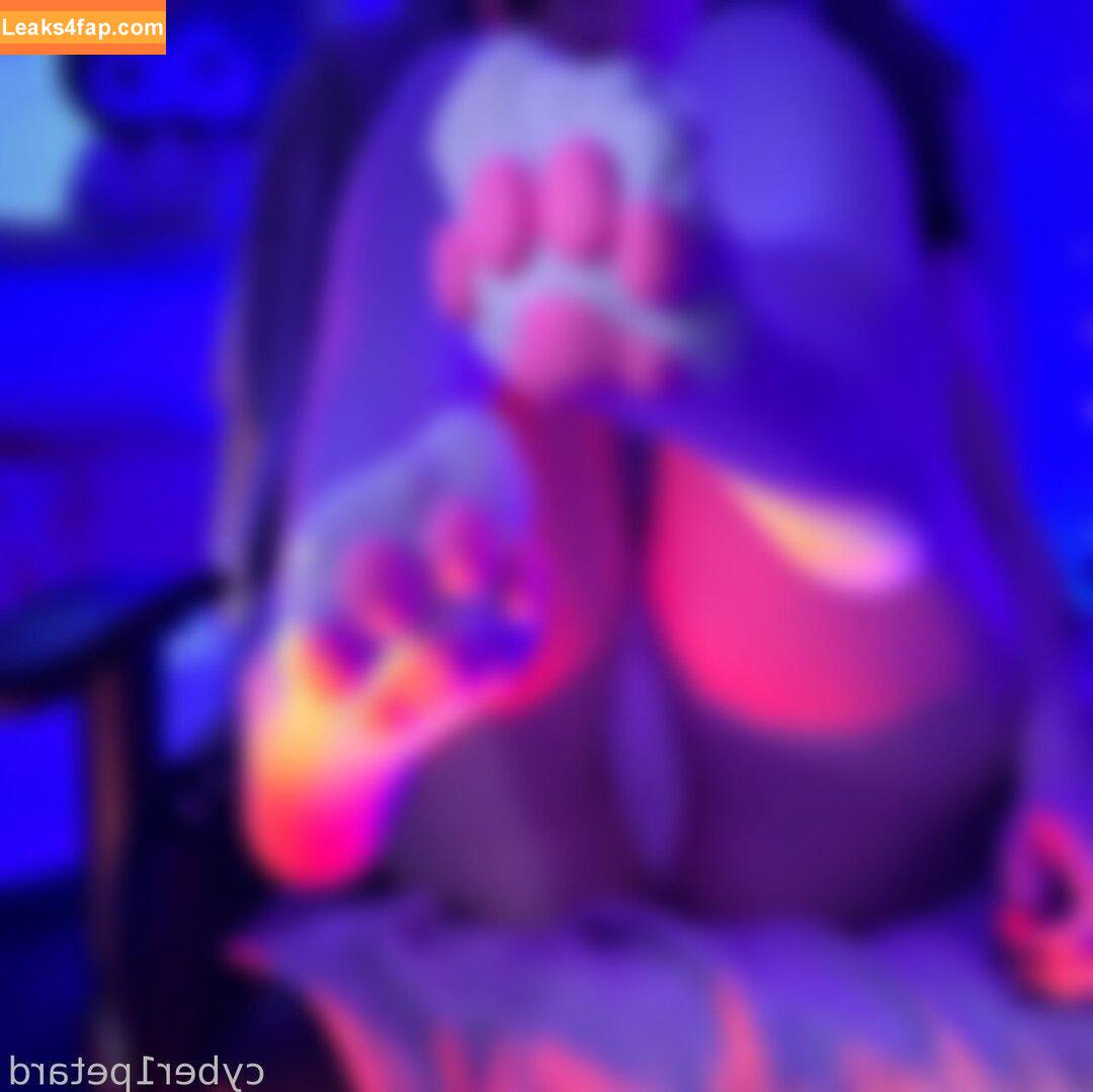 cyber1petard /  leaked photo photo #0018