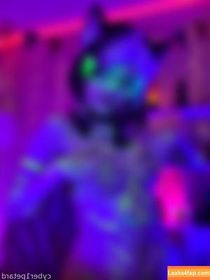 cyber1petard photo #0014