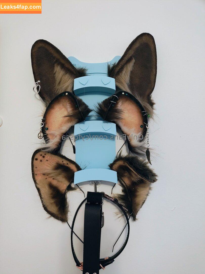 cyfossa /  leaked photo photo #0020