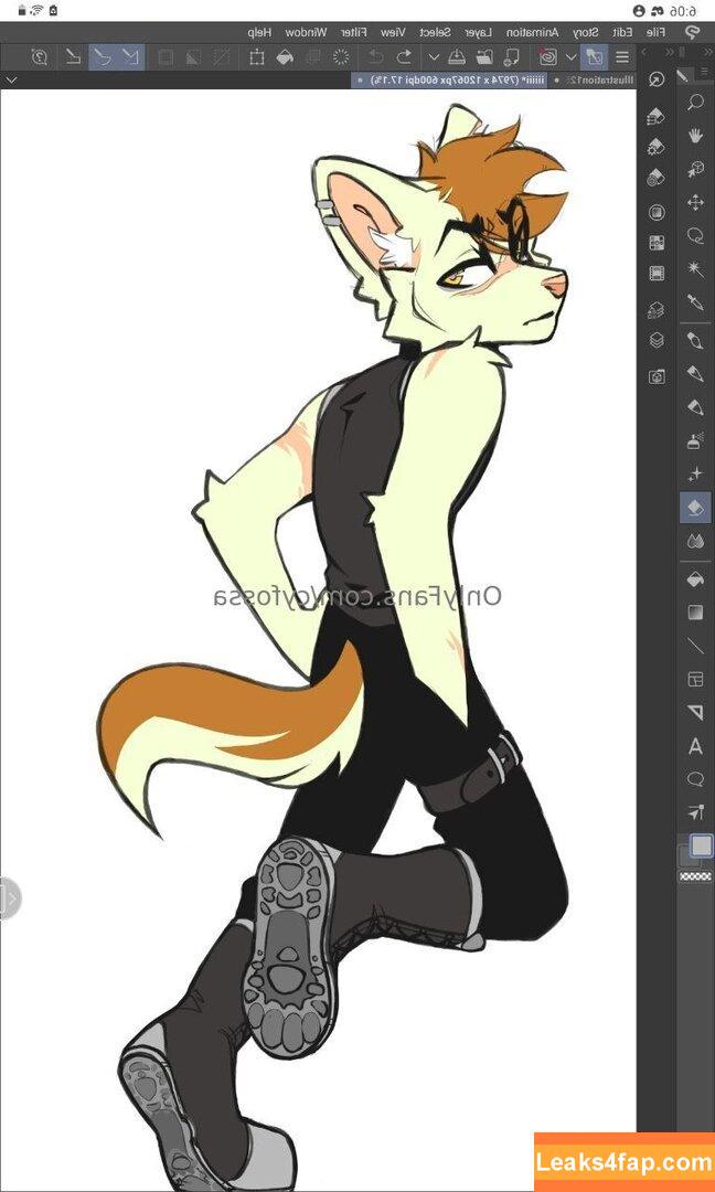 cyfossa /  leaked photo photo #0025