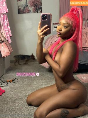 daalischusrose photo #0081
