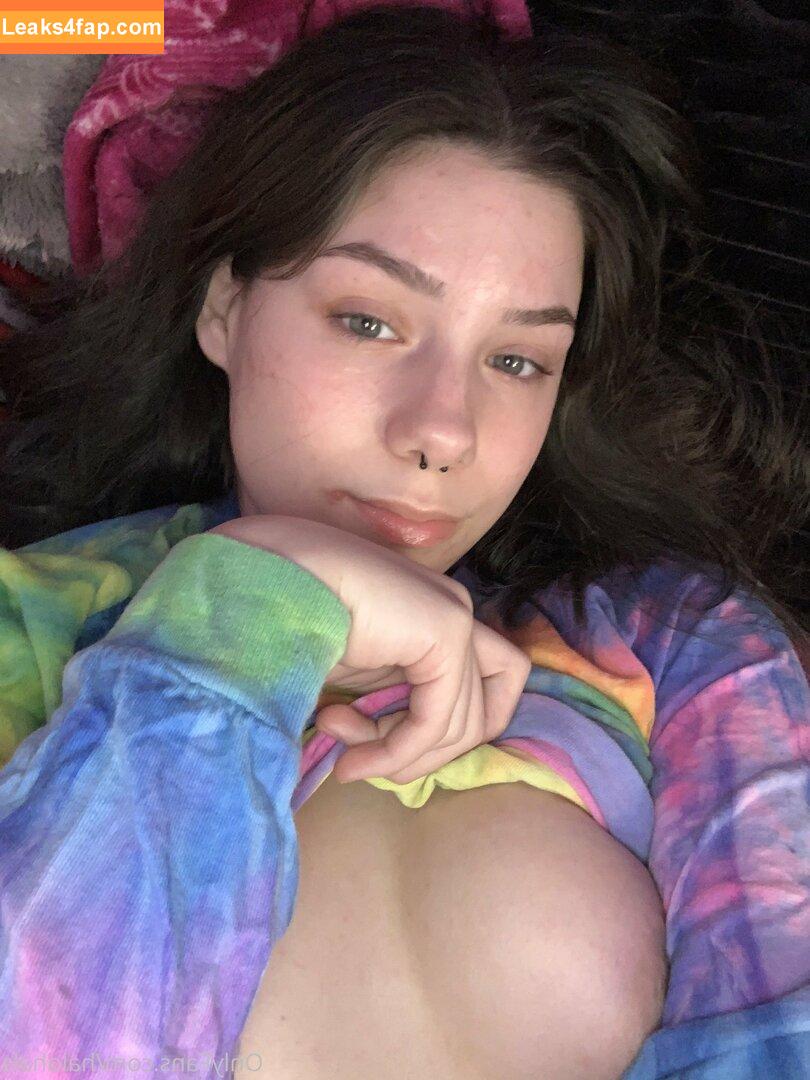 dabofhalo / haleylynn888 leaked photo photo #0013