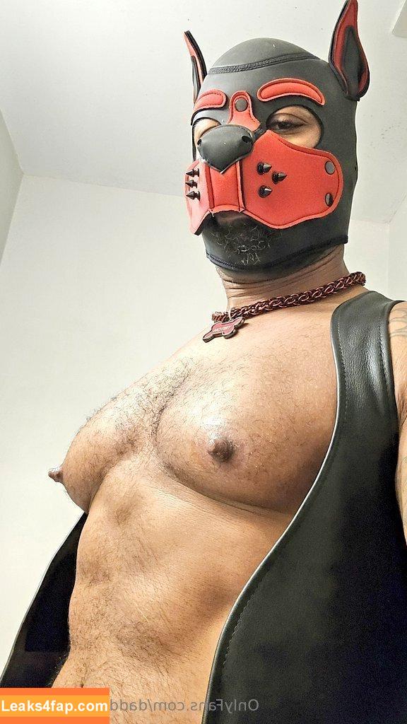 daddysmuscleboy / instamuscledaddies leaked photo photo #0003