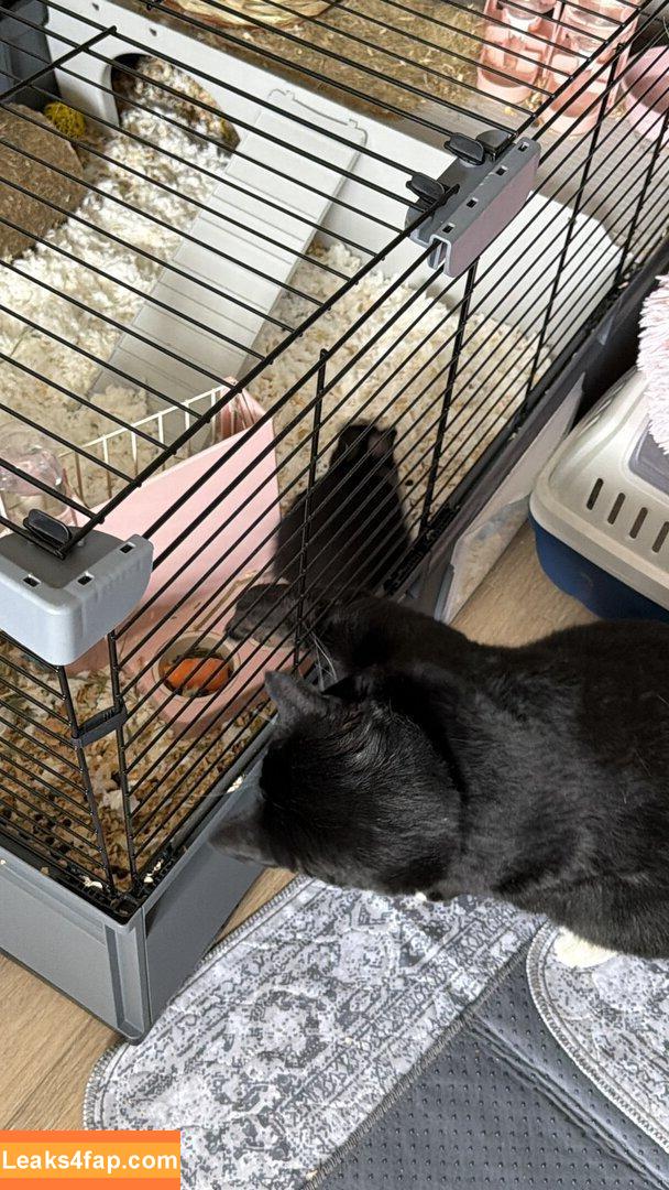 dahnikz / dahniks leaked photo photo #0120