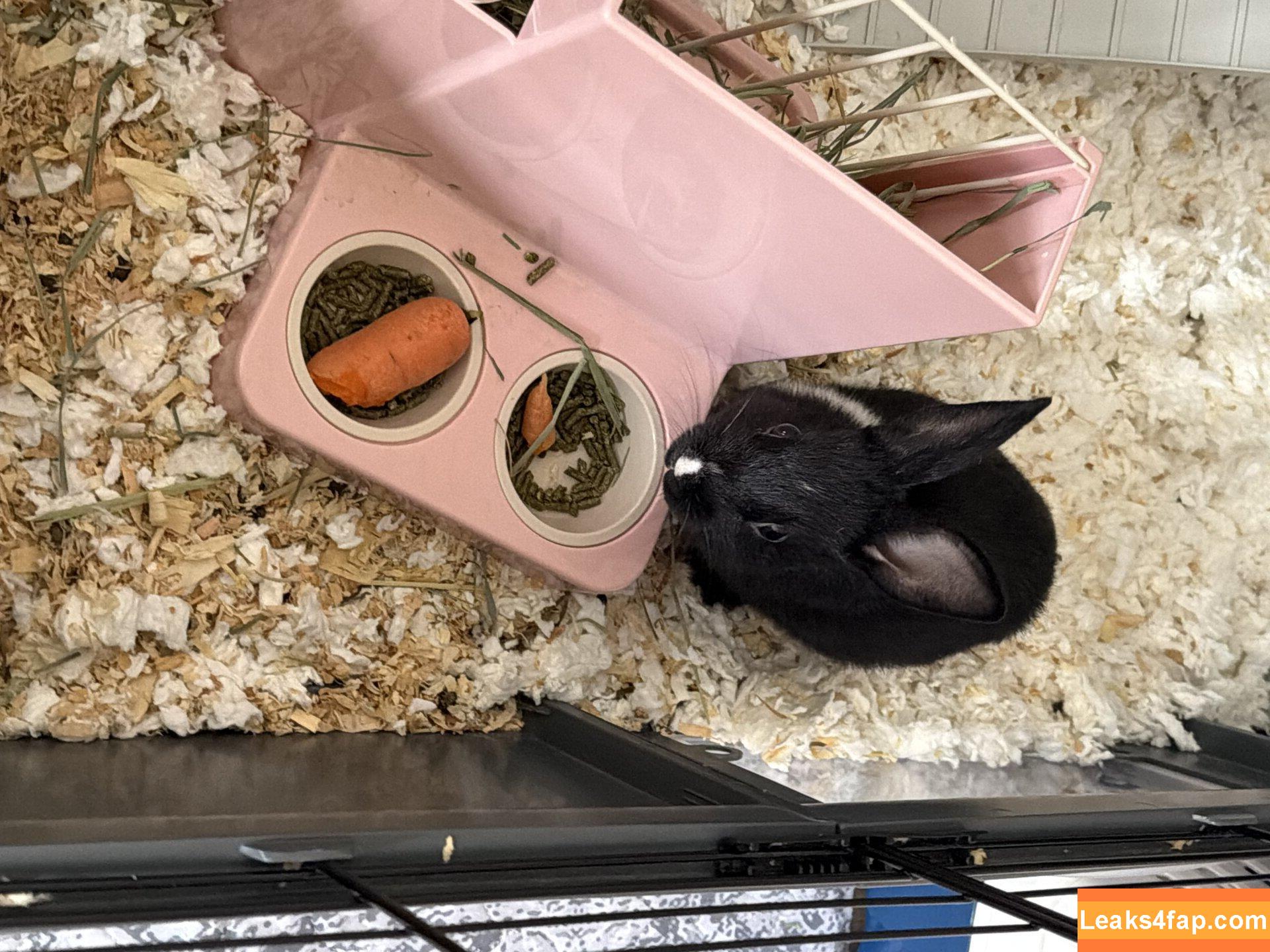 dahnikz / dahniks leaked photo photo #0125