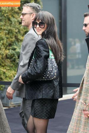 Dakota Johnson photo #0068