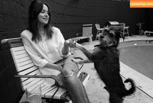 Dakota Johnson фото #0318