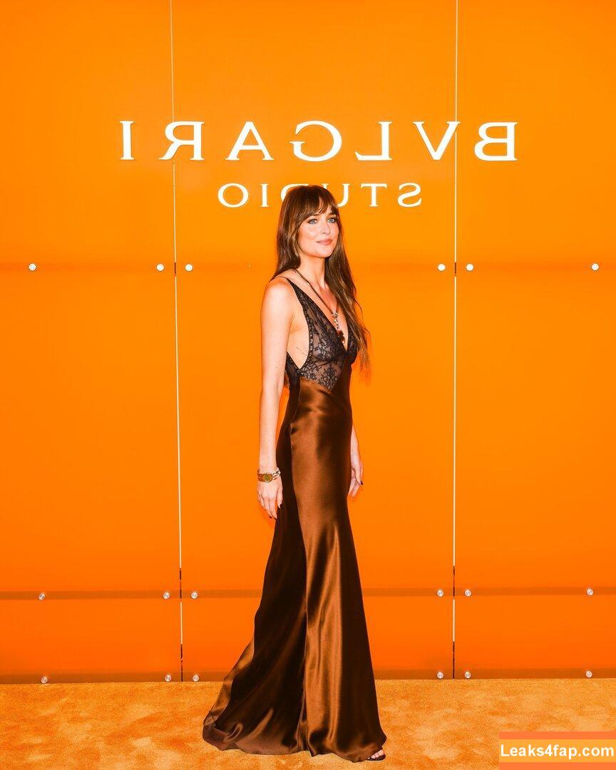 Dakota Johnson / dakotajohnson / isDakotaJohnson leaked photo photo #1073