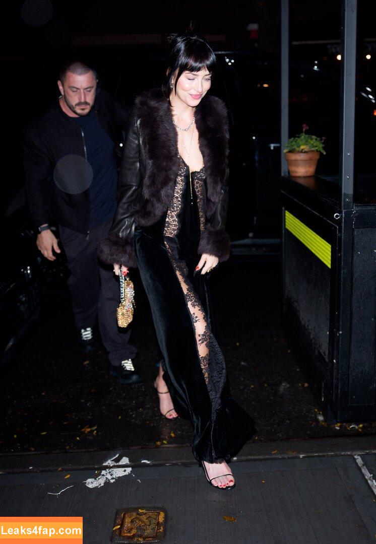Dakota Johnson / dakotajohnson / isDakotaJohnson leaked photo photo #1516