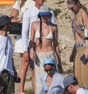 Dakota Johnson photo #1008