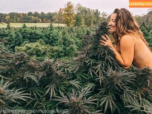 danceincannabis photo #0011