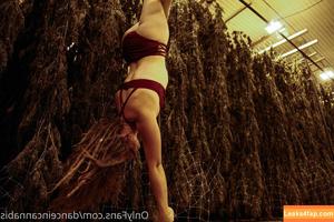 danceincannabis photo #0034