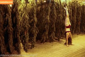 danceincannabis photo #0038