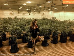 danceincannabis photo #0043