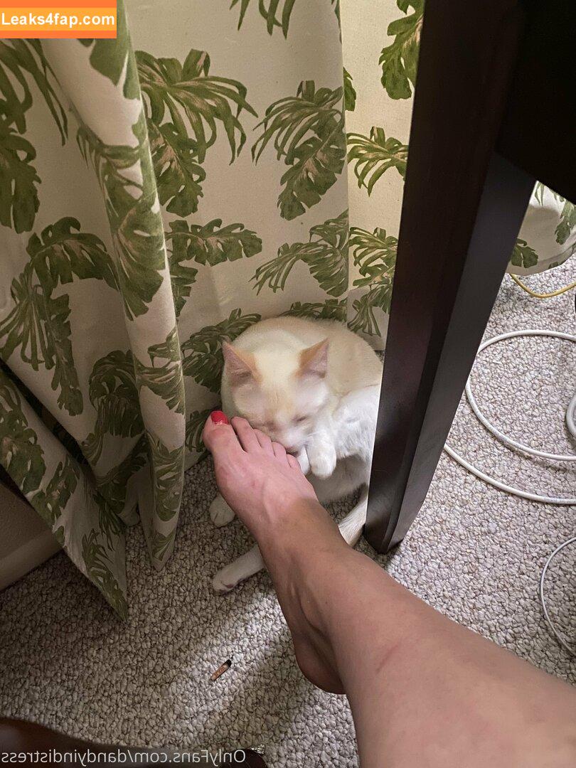 dandyindistress / dandyandfriends leaked photo photo #0043