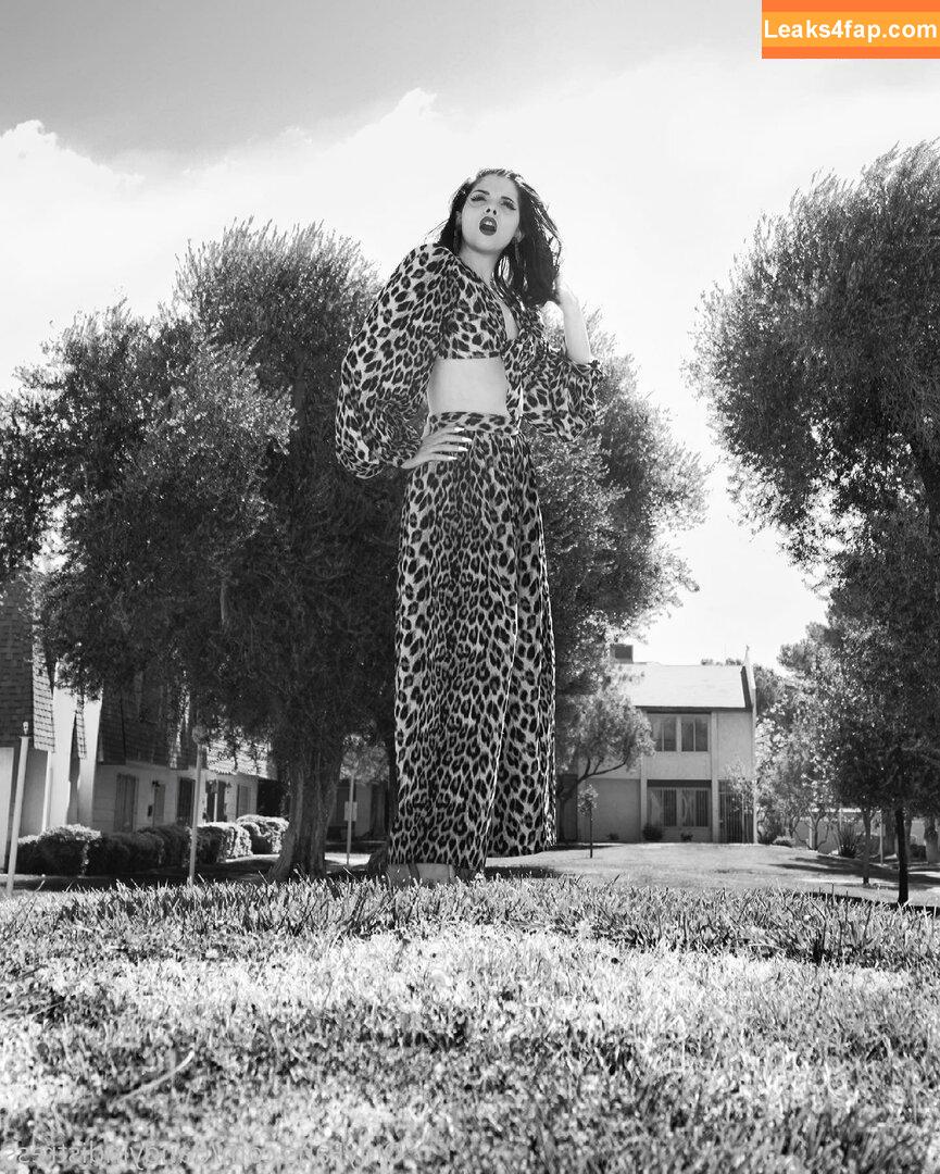 dandyindistress / dandyandfriends слитое фото фото #0062