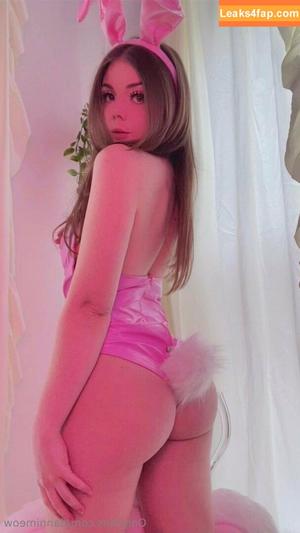 Danni Meow photo #1251